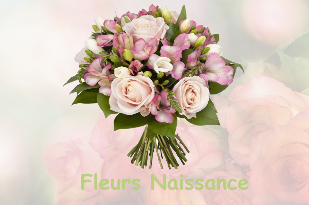 fleurs naissance SAINT-PIERRE-DE-JARDS